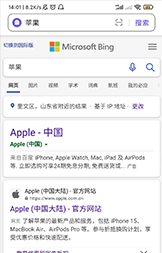山东有求必应信息技术有限公司